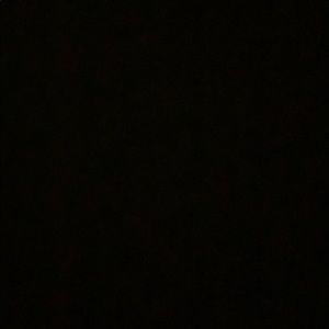 Meet your Posher, Kira